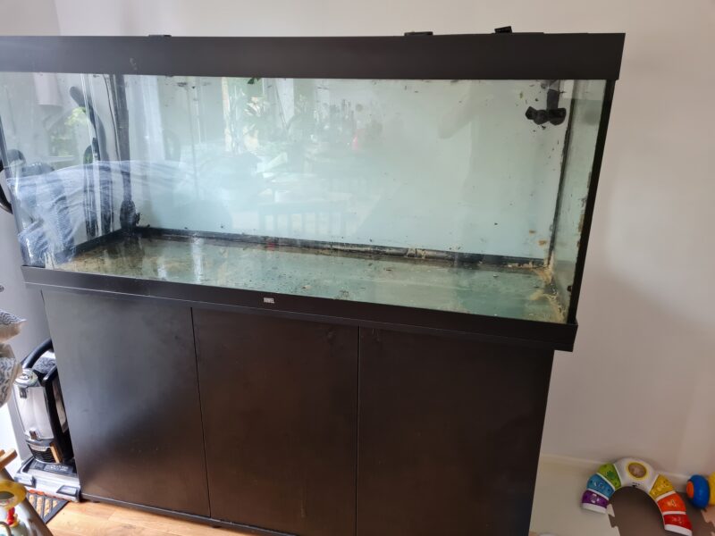 Juwel 450L tank