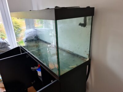 Juwel 450L tank