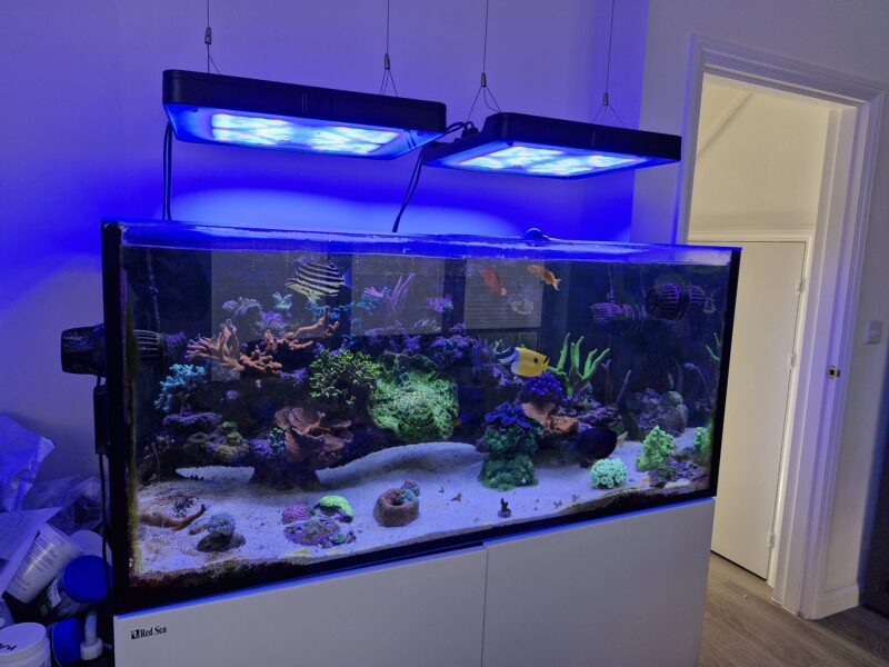 Redsea Reefer 425xl