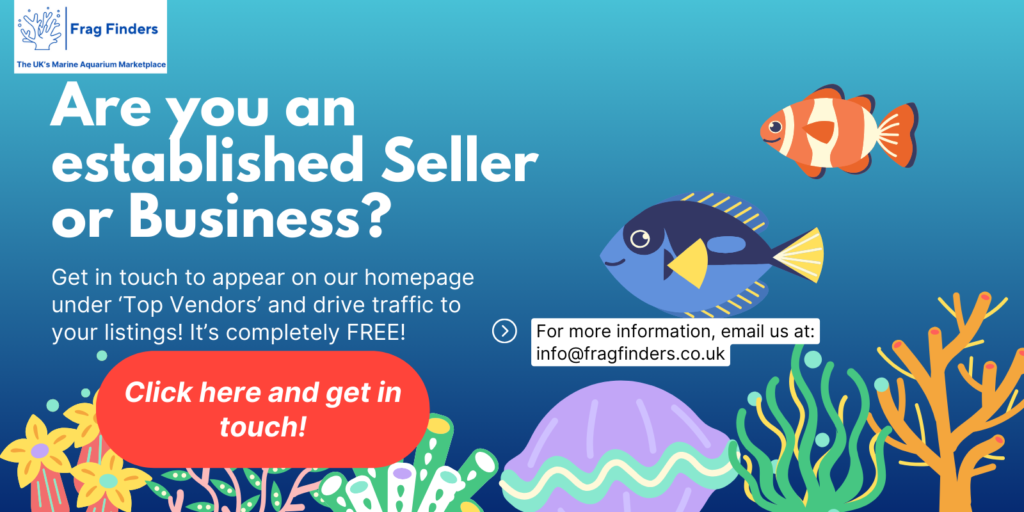 Sell on the Marketplace