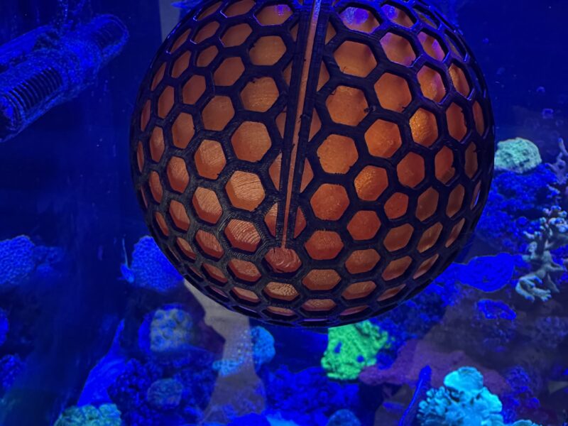 Glow orange nori moon