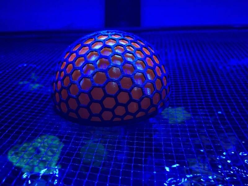Glow orange nori moon