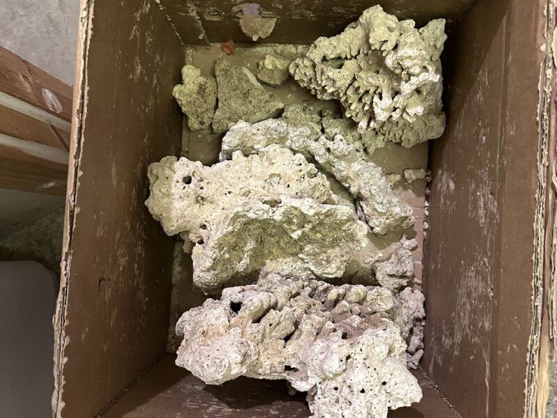 Iquatics dead reef rock