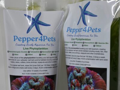 Marine Live Copepods and Phytoplankton