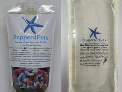 Marine Live Copepods and Phytoplankton