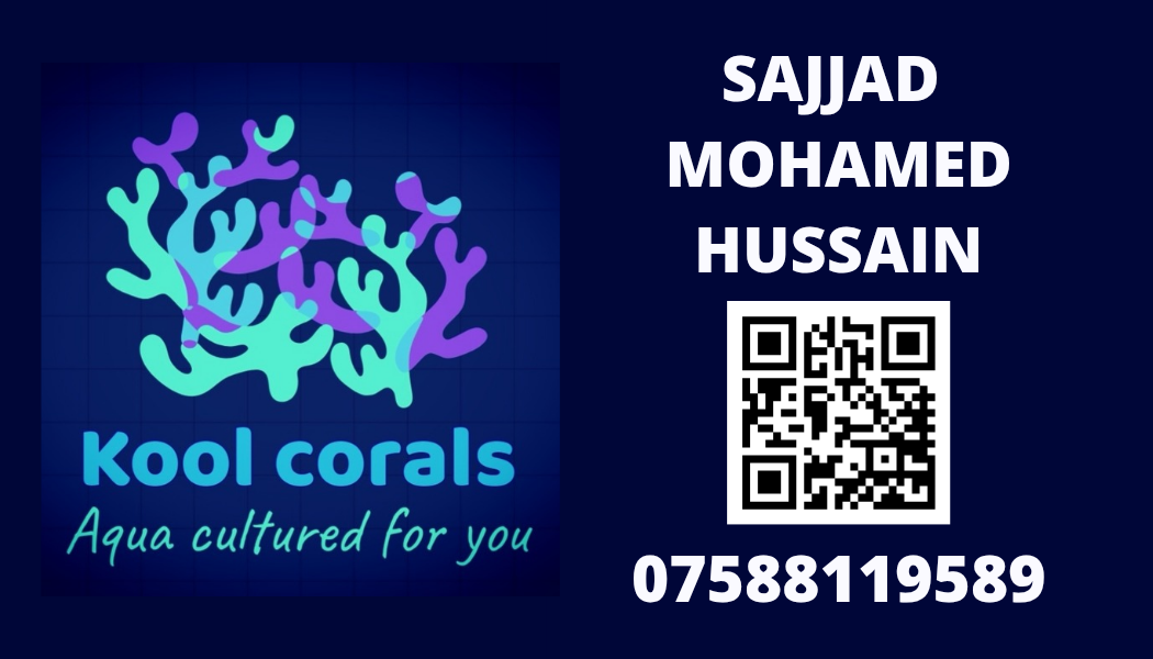 sajjad_50@hotmail.com